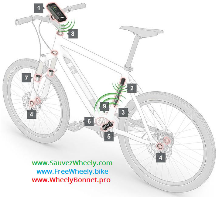 WHEELY