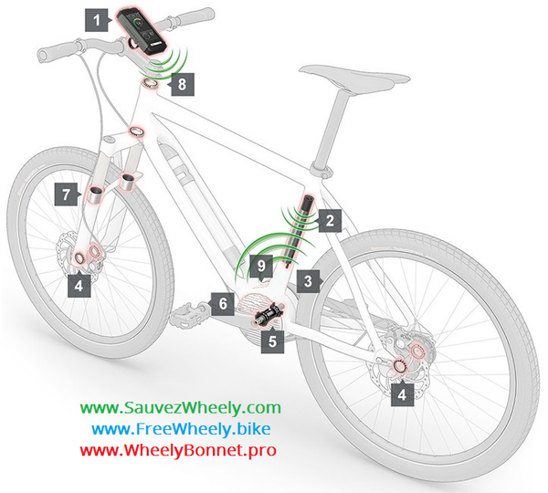 WHEELY